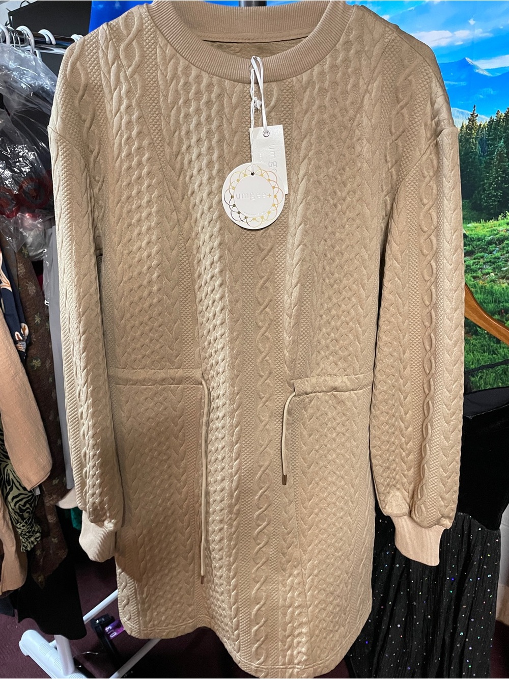 Umgee Drawstring Cable Knit Mini Dress with Pockets